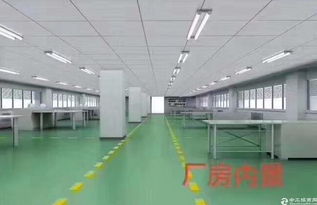 松岗龙大高速出口高级独院汽车装饰服务