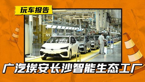 汽车工厂变身网红打卡地 广汽埃安如何以汽车装饰引爆长沙新潮流